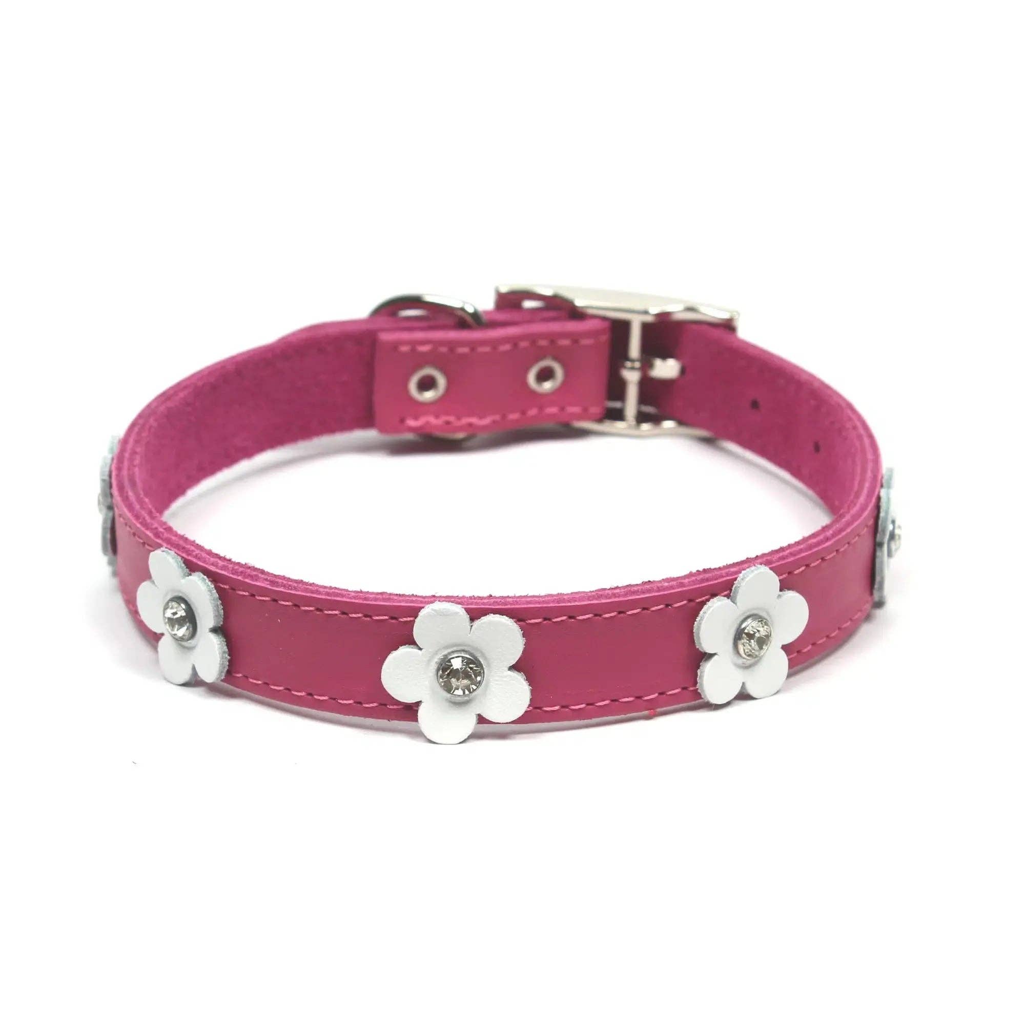 DOGUE - Wholesale Pet collar – Dog - DOGUE Foxy Leather Dog Collar4