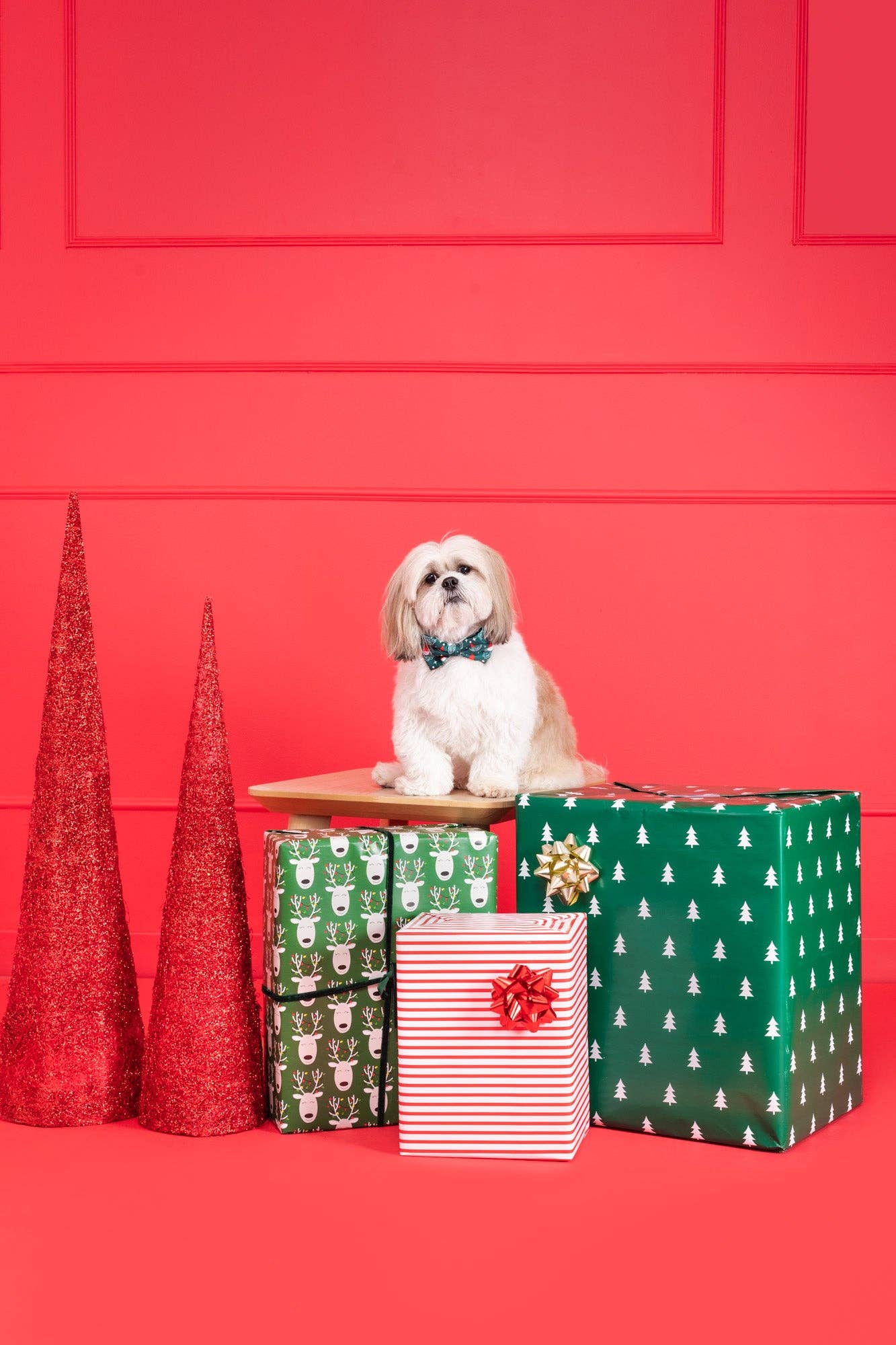 Molly & Co. - Wholesale Pet Bow Tie - Dog - Santa - Dog Bowtie2