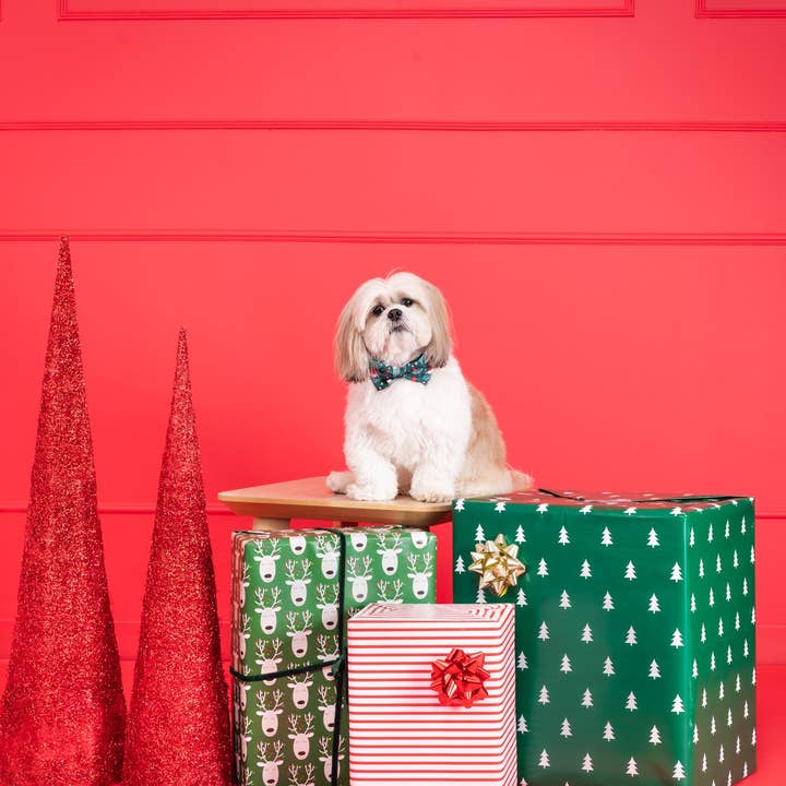 Molly & Co. - Wholesale Pet Bow Tie - Dog - Santa - Dog Bowtie2