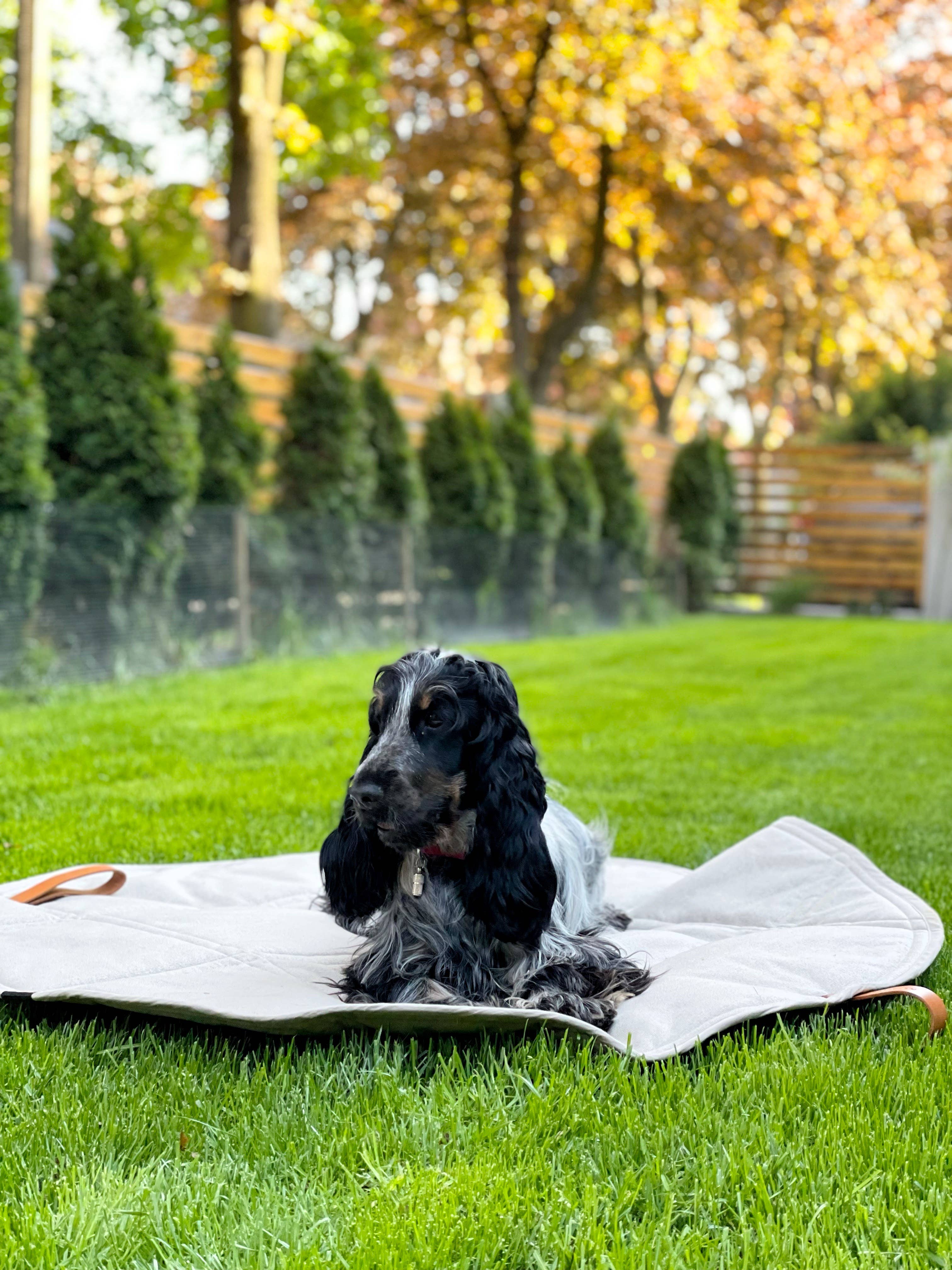 Labbvenn – Engroshandel Kæledyrsmåtte – Hund – Okka kompakt og alsidig rejsemåtte til kæledyr19