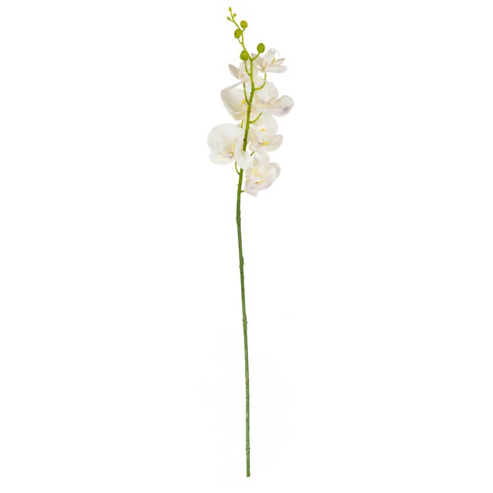 Candlelight Products Ltd – wholesale Artificial flowers – 86cm Real Touch Butterfly Orchid 10PK1