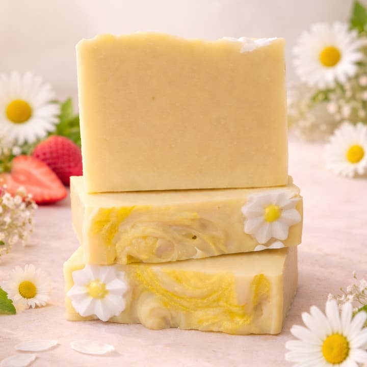 Daisies in Bloom for wholesale by Blosswaves