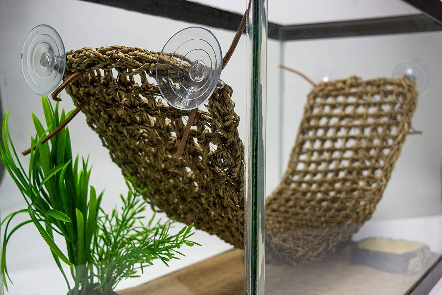 Penn-Plax - Wholesale Terrarium - Reptology Lizard Lounger – Extra Large8