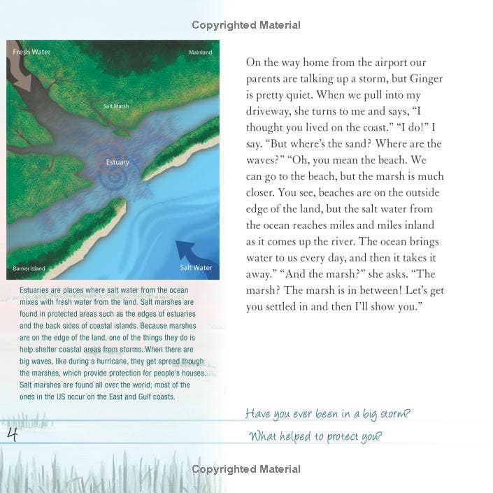 REMOVED BRAND - Wholesale Nature & Outdoors - And the Tide Comes In...: Exploring a Coastal Salt Marsh2