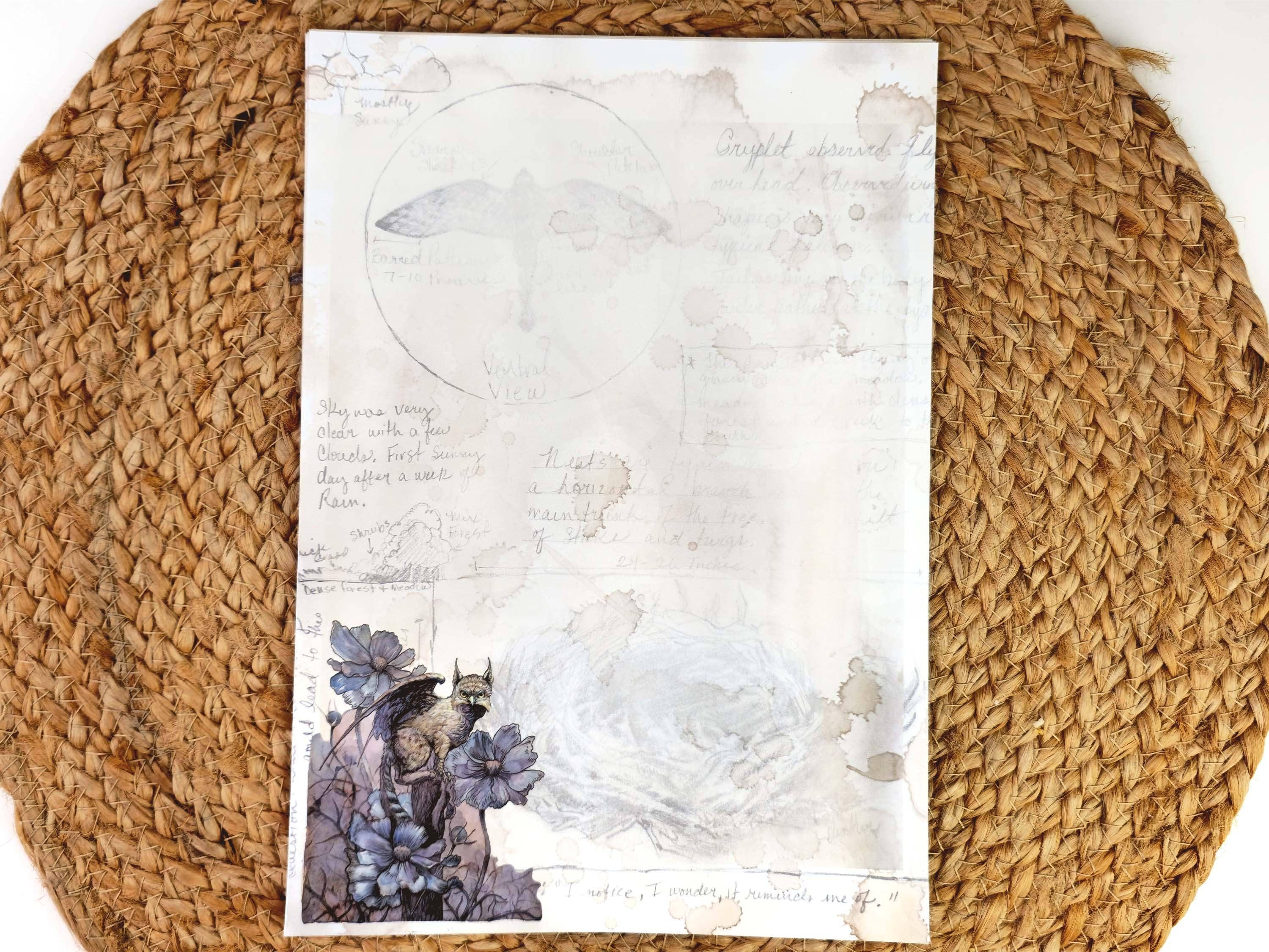 Wings of Fantasy - Wholesale Stationery/Notecard Set - Dark Academia Notepaper Set | Vintage Gryphon Art | A Naturalist's Guide to Fantastical Creatures | Complete Writing Kit3