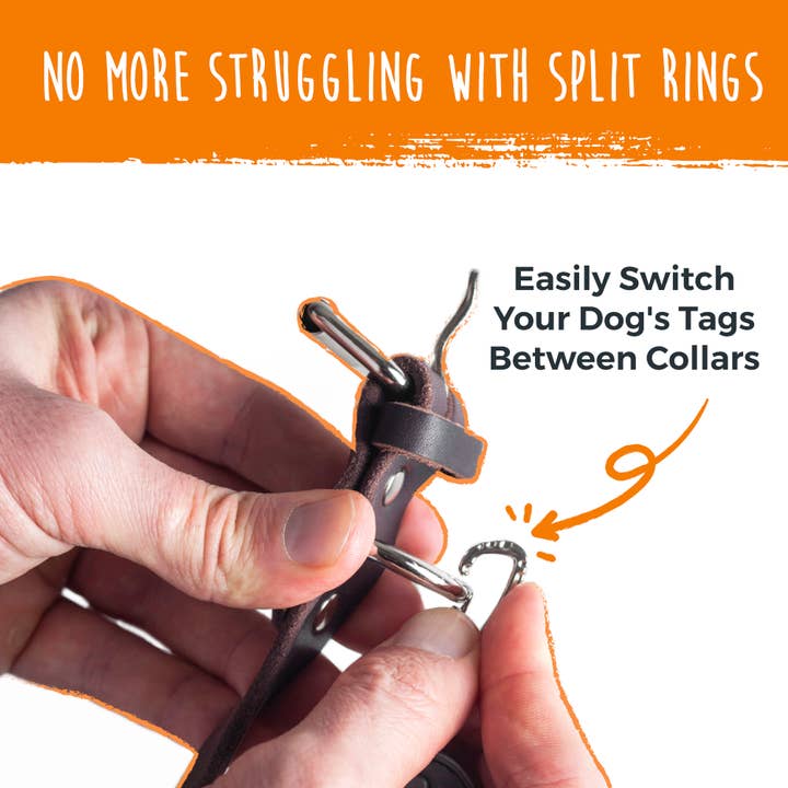 Mighty Paw - Venta al por mayor Colgante - Gatos y perros - Mighty Paw Dog Etiqueta Mosquetón Clips (3 unidades)2