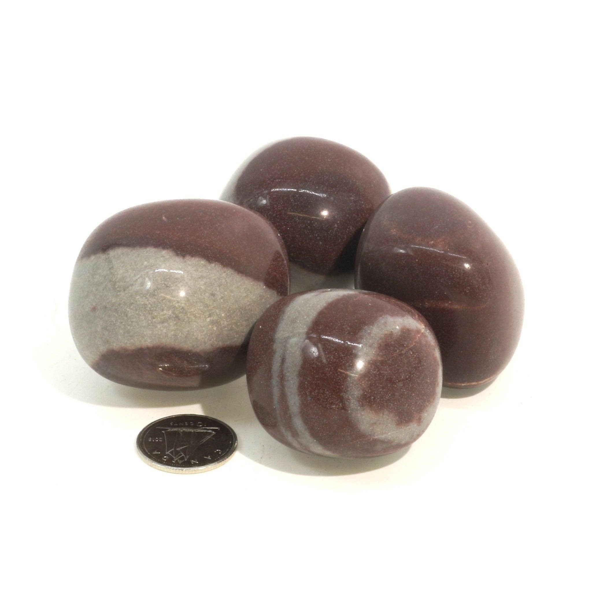 Stonebridge Imports - Vente Pierre et cristal de spiritualité - Pierre roulée de Shiva Lingam de la Narmada8