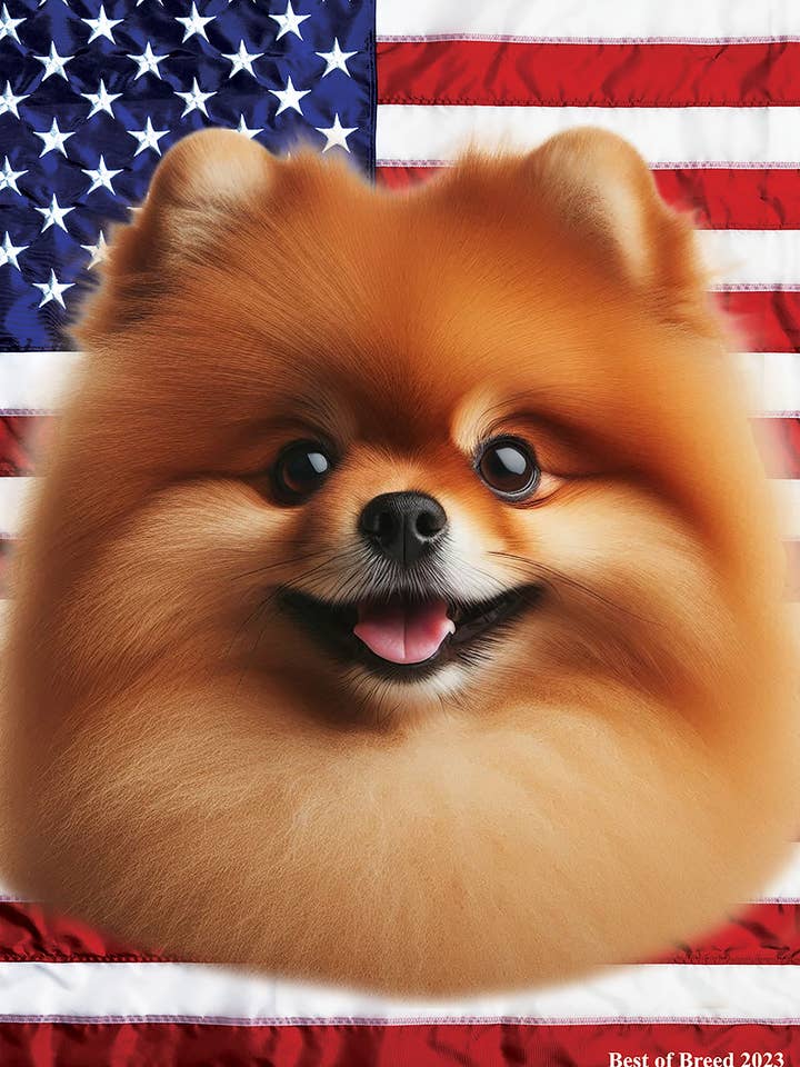 Bandiera da giardino Patriotic III rossa della Pomerania per la vendita all'ingrosso da parte di Best of Breed Products