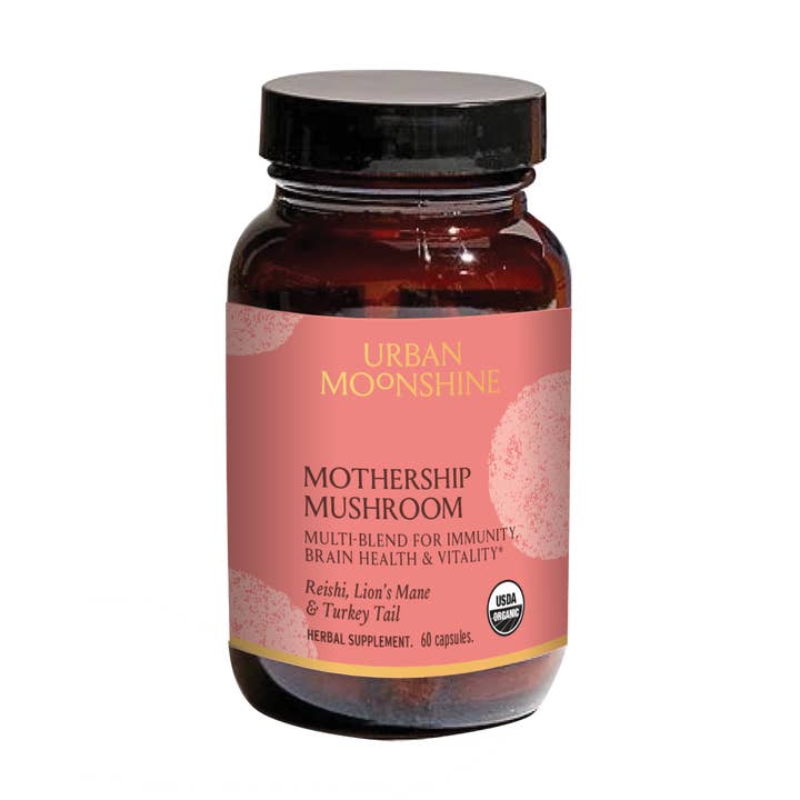 Mothership Mushroom for wholesale by Urban Moonshine