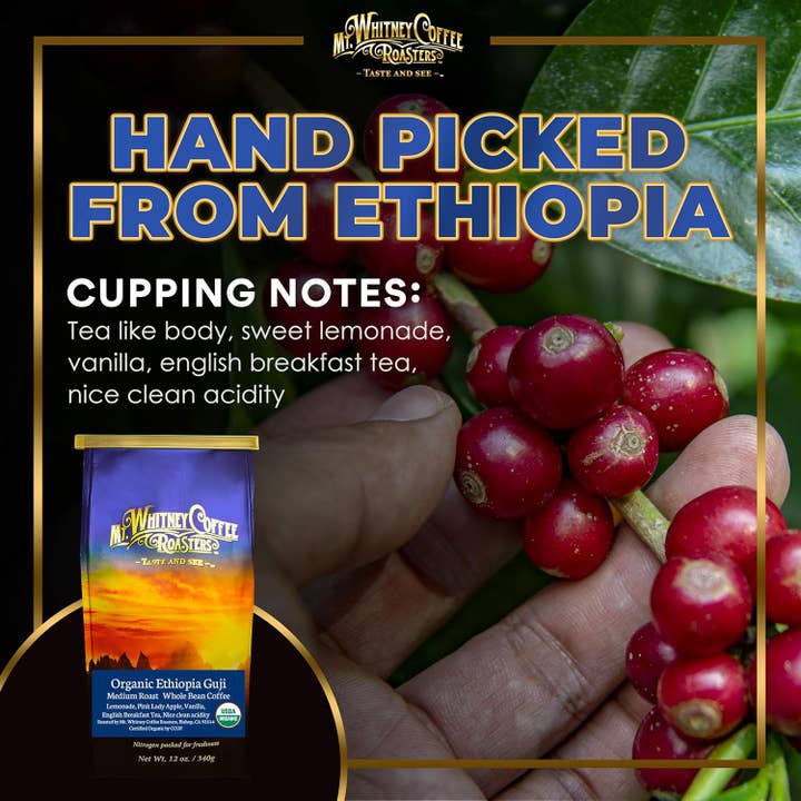 Organic Ethiopia Guji 12oz Whole Bean Coffee for wholesale by Mt. Whitney Coffee Roasters