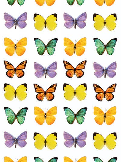 Decorative Stickers - Butterflies - Small for wholesale by Paper House Productions