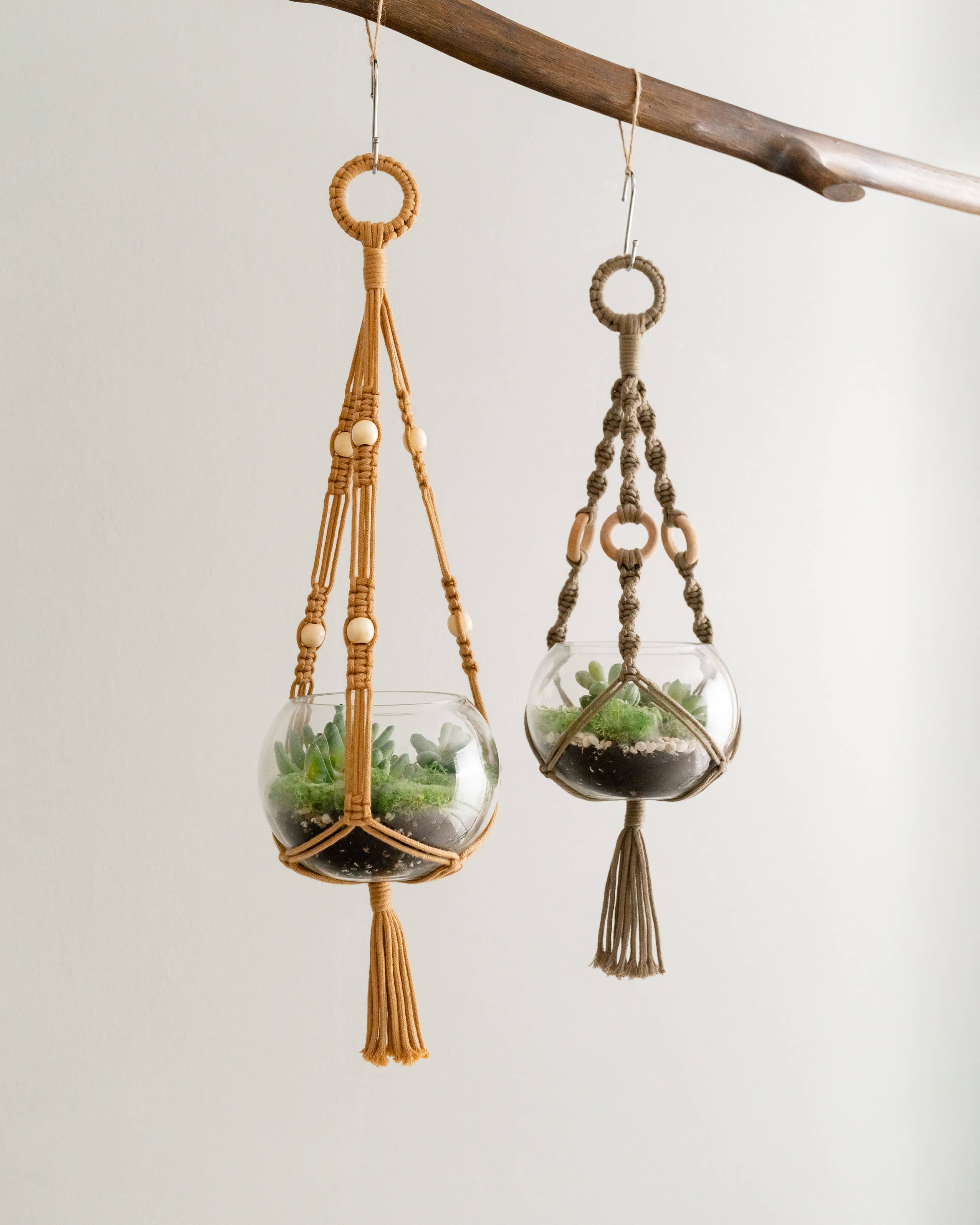 BeanDaikon - Venta al por mayor Macetas colgantes - Colgador para plantas de terrario I6810