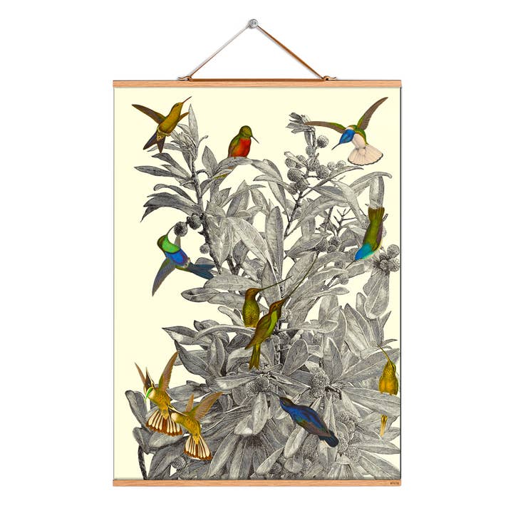 Rul billede illustration # 301/mashup/kolibri busk for engroshandel hos Eicie