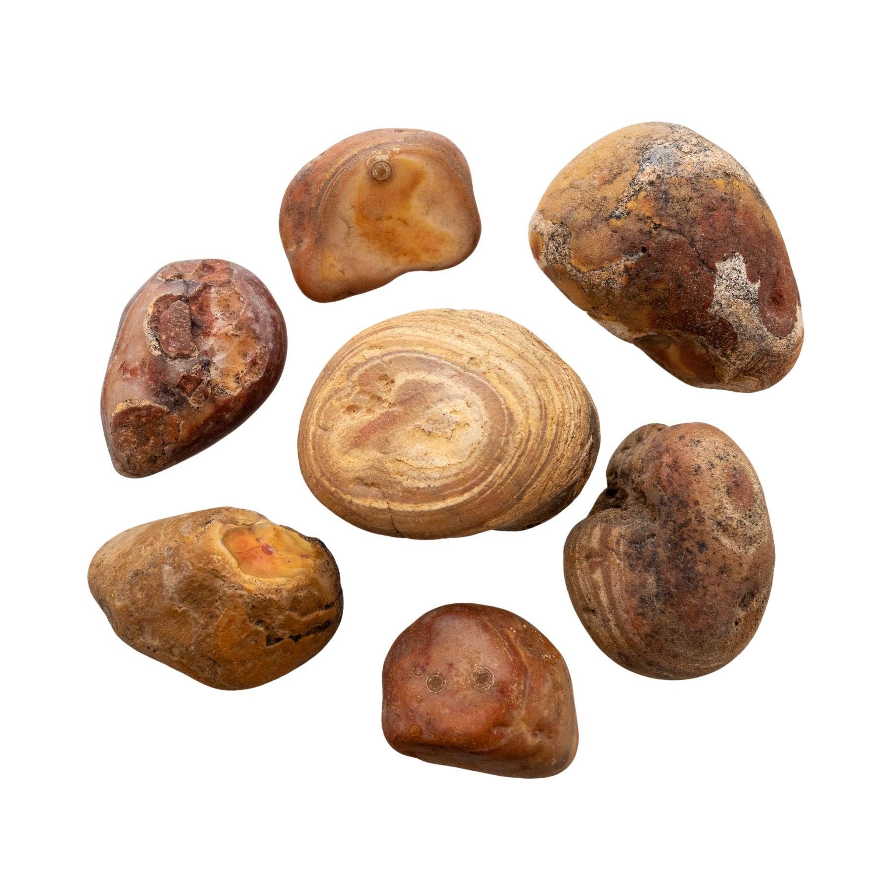 Down To Earth - Wholesale Spiritual Stone/Crystal - Bahia Agate Raw. 1lb.3