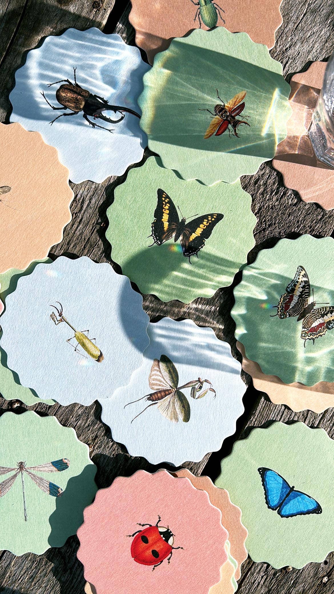 30x40 – wholesale Underlägg – Underläggsset Insekter 🐞🐝🪲 2025 UPPDATERING - NYA Designer :)3