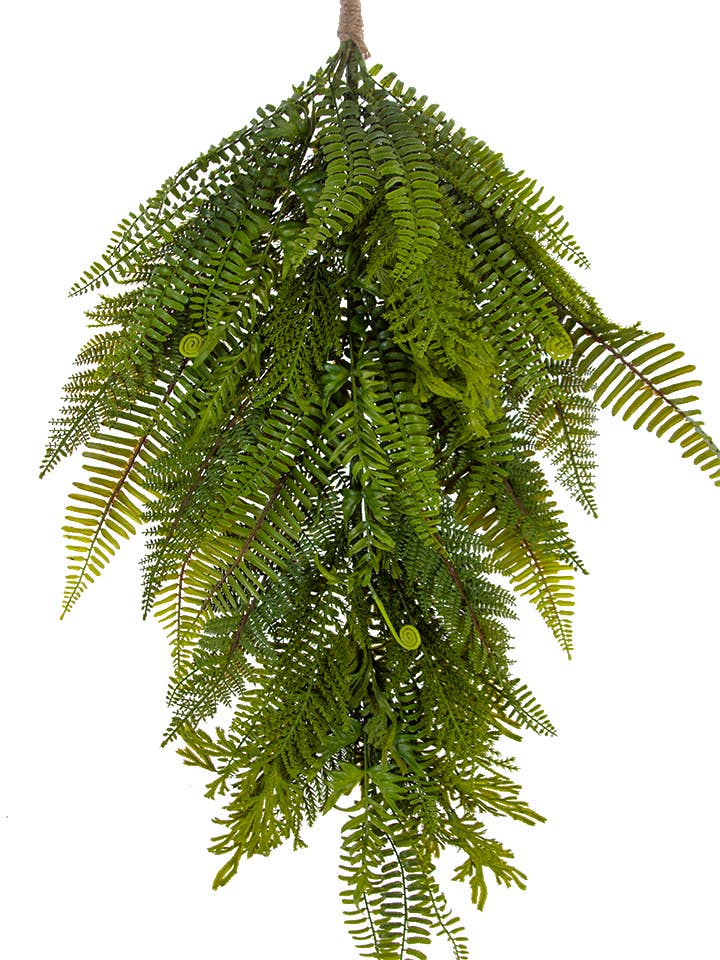 36" VARIGATED FERN TEAR DROP for wholesale by American Best