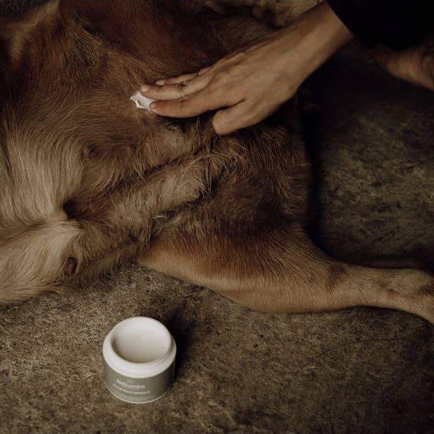 Nellumbo - Wholesale Pet Balm - Dog - Balm for sensitive and healing skin for dogs2