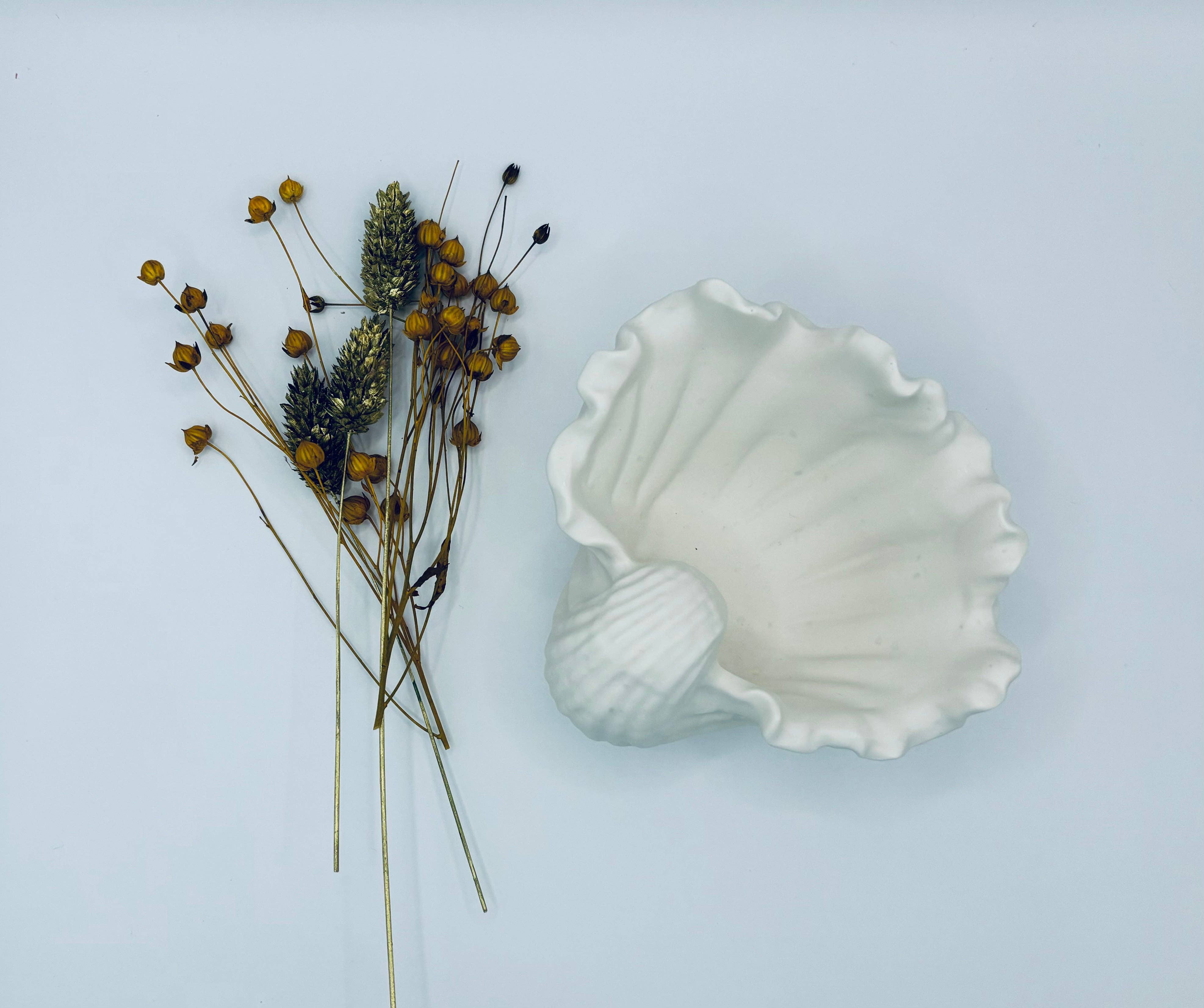 Weiß Conchilglia di Lusso - Schalen und Töpfe aus umweltfreundlichem Verbundmaterial für den Großhandel auf Faire0