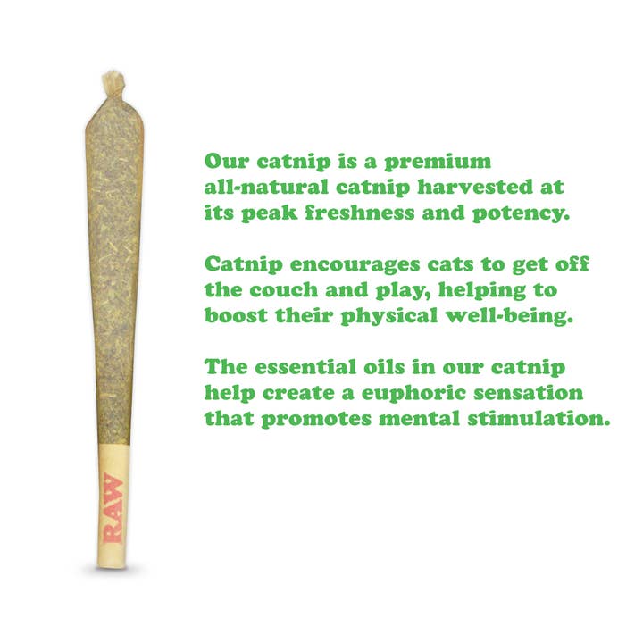 Meowijuana - Wholesale Catnip - Catnibas® - King Meowy J's