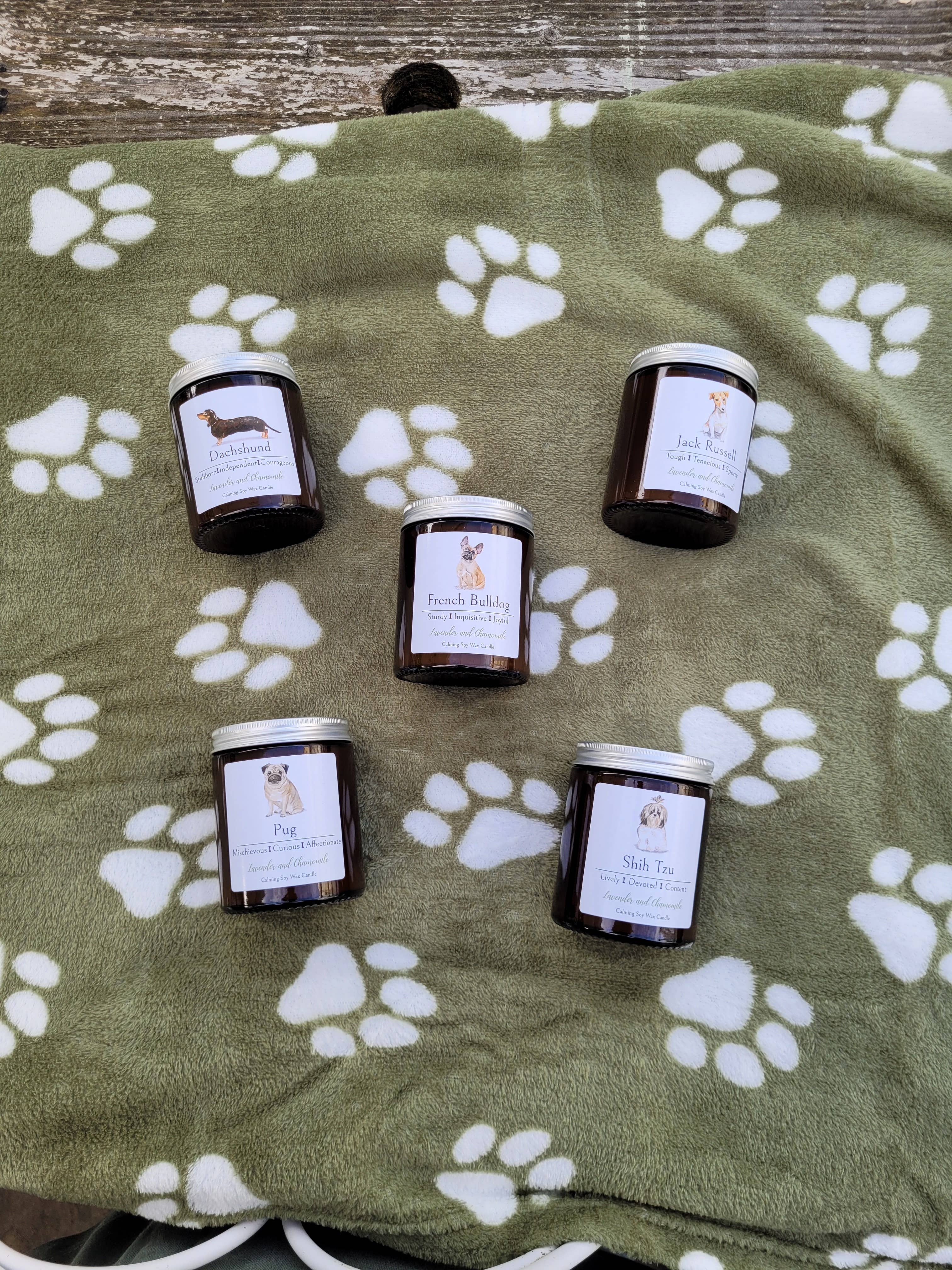 Little Bit Different – Großhandel Kerze im Glas / gefüllte Kerze – Dackel-Kerzen-Geschenk. Geschenk für Hundefreunde.3