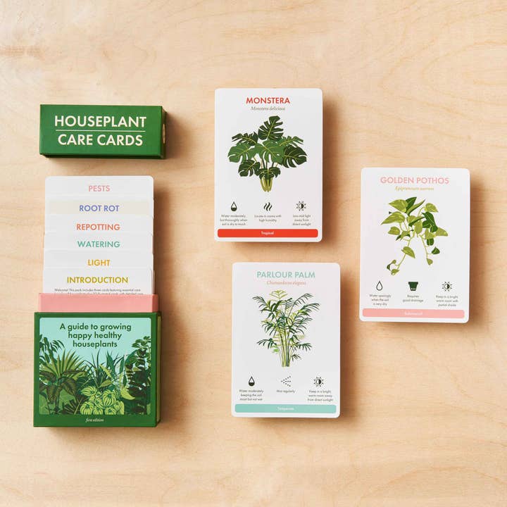 Another Studio - Wholesale Nature Guide - Houseplant Care Cards, botanical plant tips, care & advice