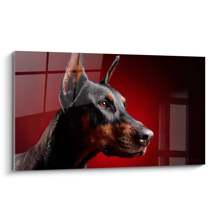 Doberman Painting with Amber Gaze on Red Background - Portrait of Nobility - Doberman Edition for wholesale by Walensky