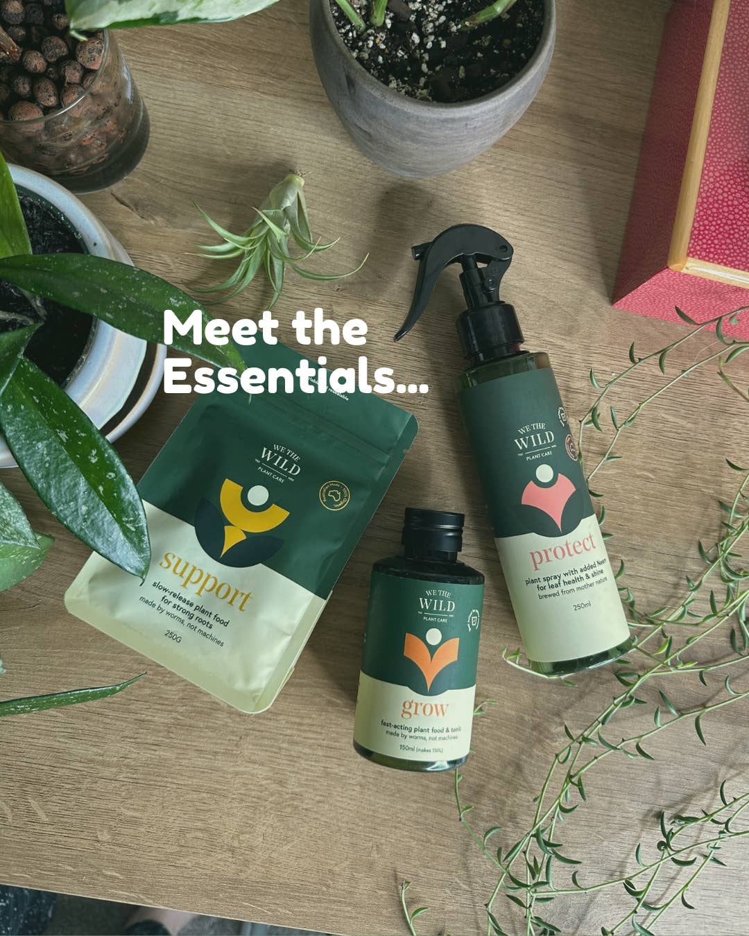 We the Wild Plant Care - Australia - Wholesale Fertiliser - Essential Plant Care Kit - Case of 64