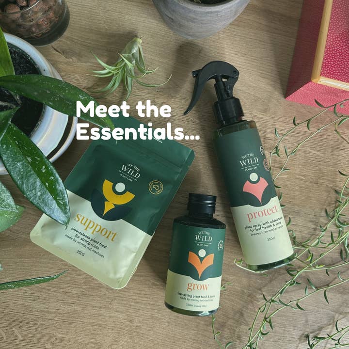 We the Wild Plant Care - Australia - Wholesale Fertiliser - Essential Plant Care Kit - Case of 64
