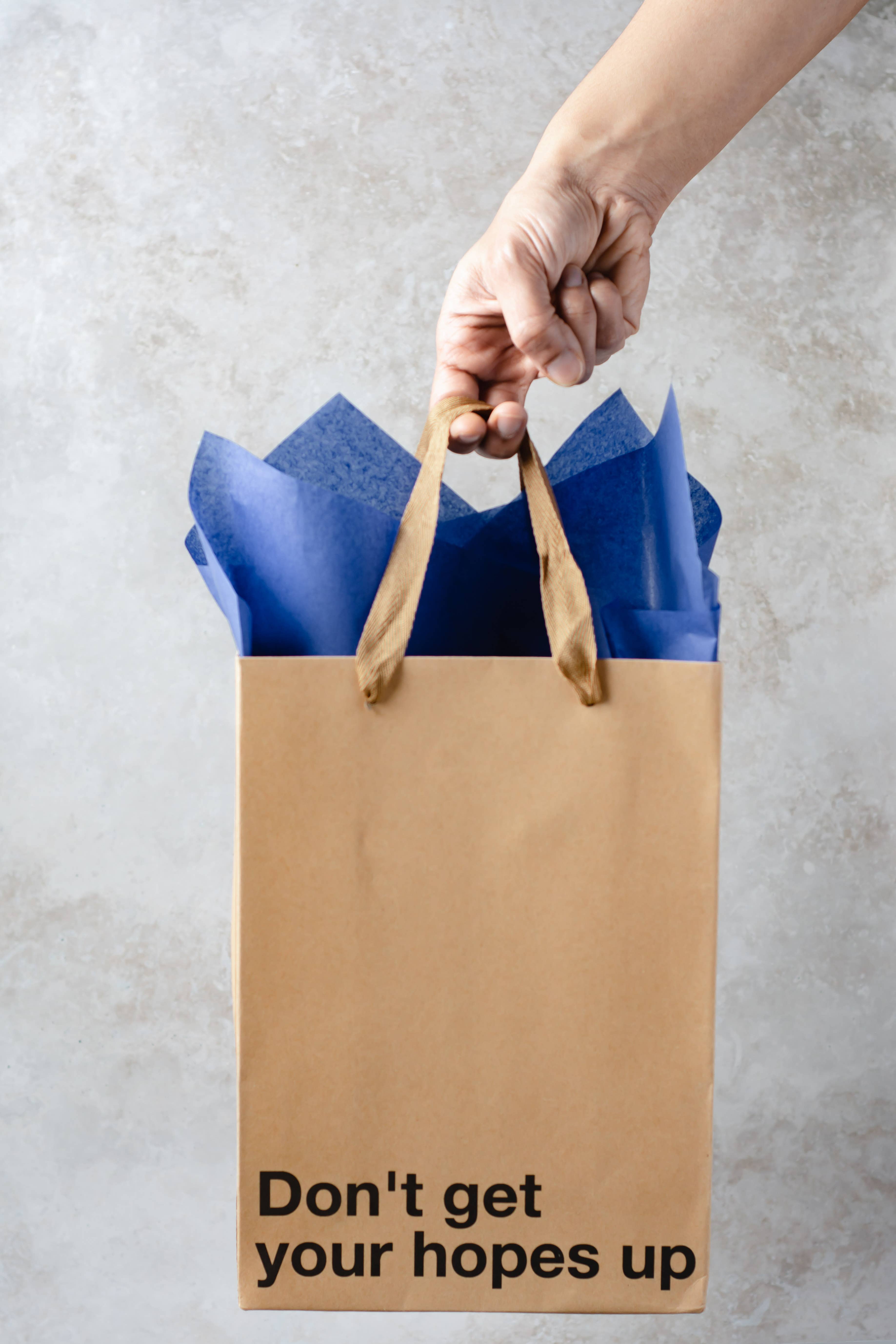 MilkToast Brands - Vendita all'ingrosso Buste regalo - Sacchetto regalo « Don't Get Your Hopes Up »2