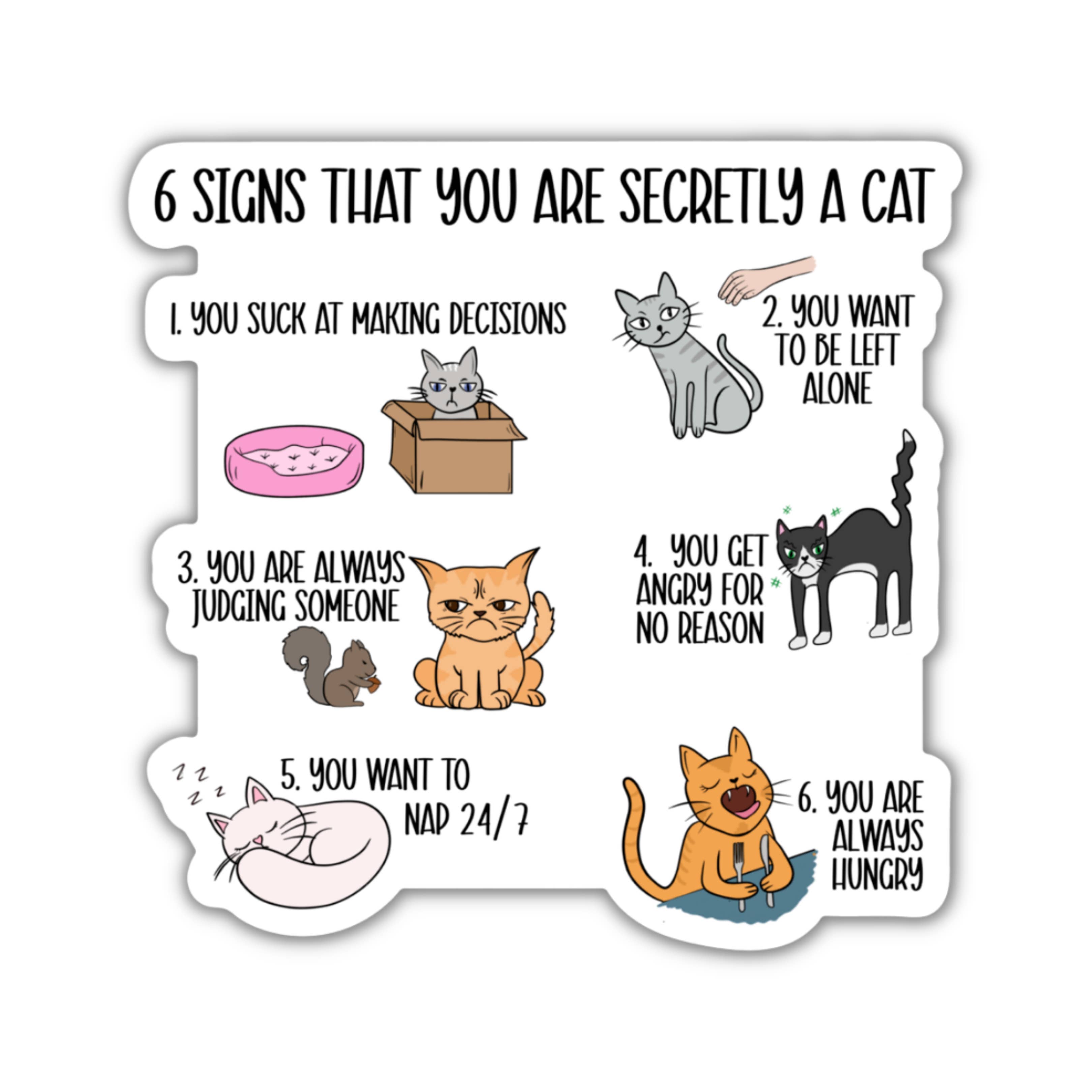 Sunshine & Lemons Co. - Wholesale Sticker - 6 Signs That You Are Secretly A Cat Vinyl Sticker