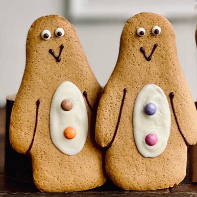 Gingerbread Penguin, Box of 12 for wholesale by Lottie Shaw's
