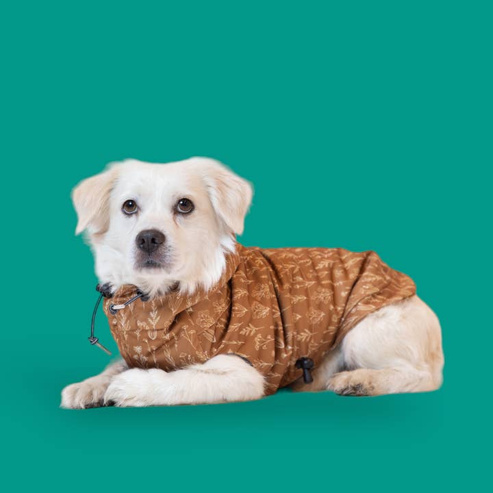 The Woodland - Raincoat for wholesale by The Long Dog Clothing Co.