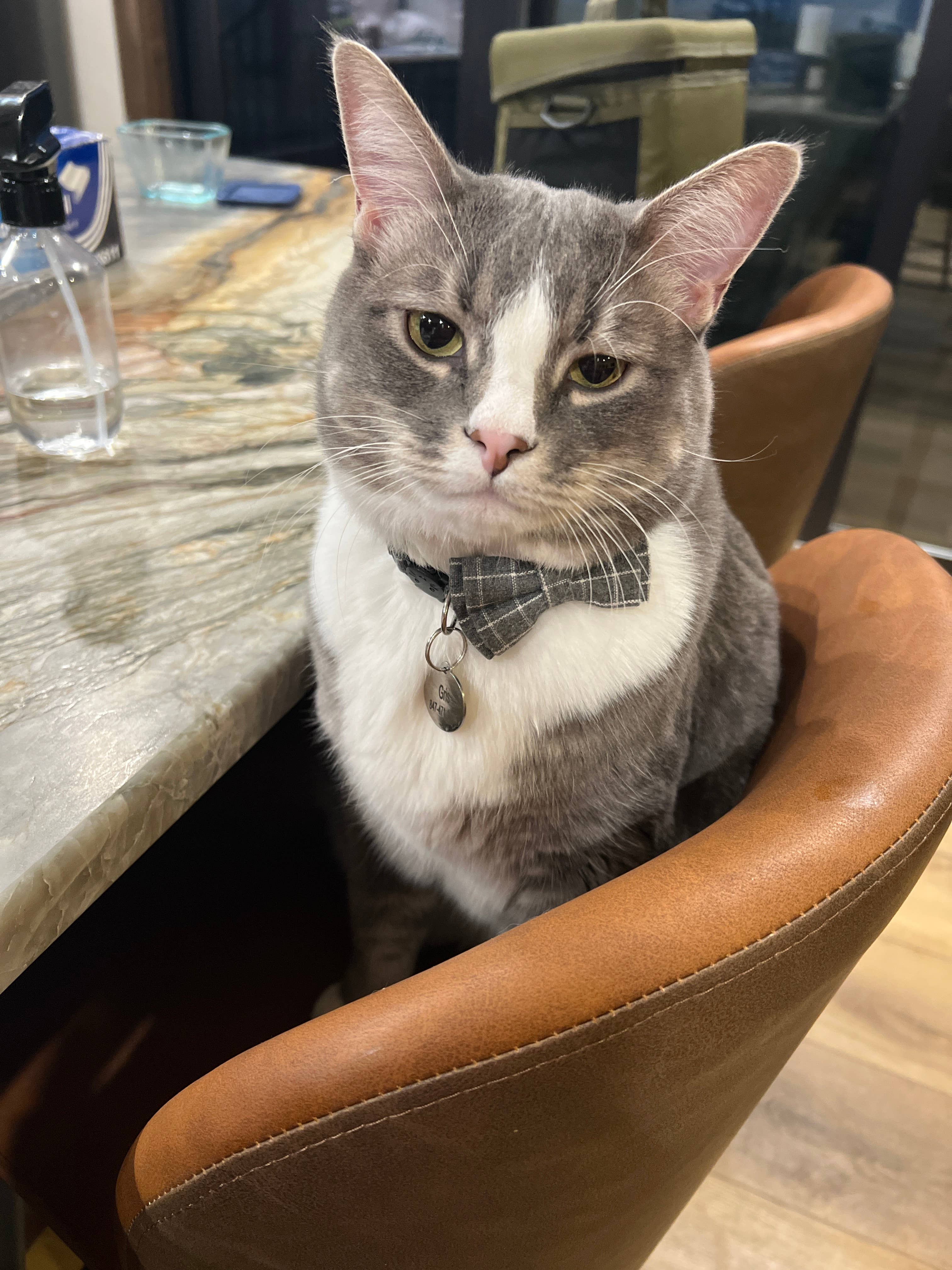 Made of Mountains - Vendita all'ingrosso Adesivo - Prendimi sulle piste da sci retrò - Adesivo1