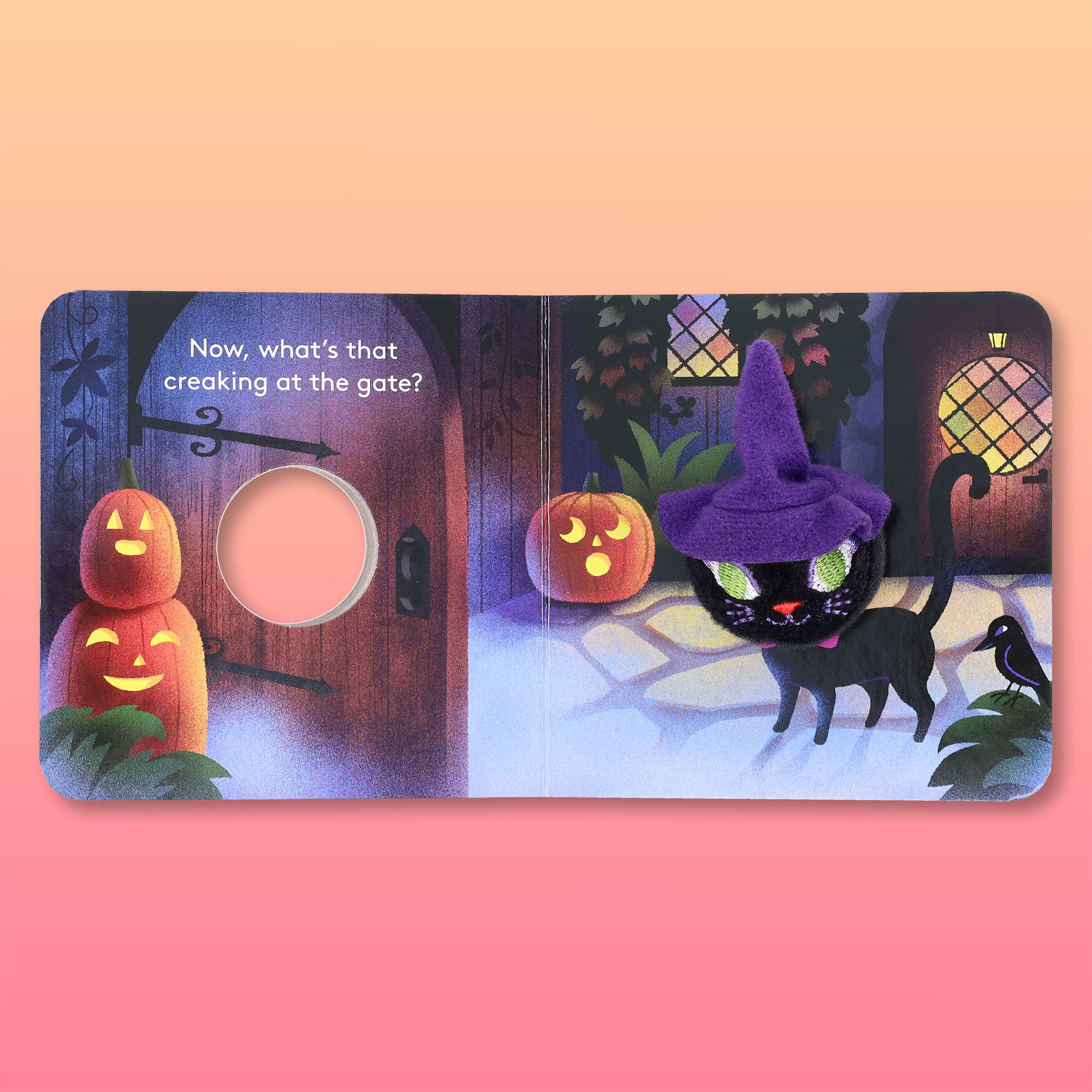 Chronicle Books - Wholesale Baby & Toddler Book (0-2) - Little Witch Cat: Finger Puppet Book16