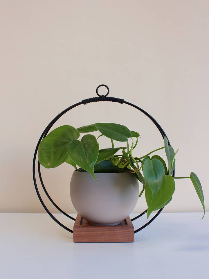 Black Hanging Planter, Modern Plant Hanger (Medium) for wholesale by Braid & Wood Design Studio