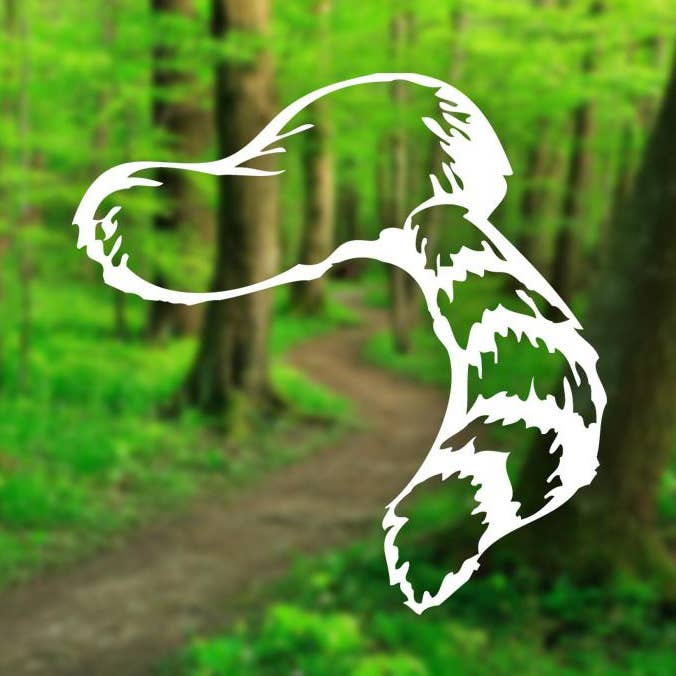 Decalque Coon Skin Cap por atacado de Loving WV