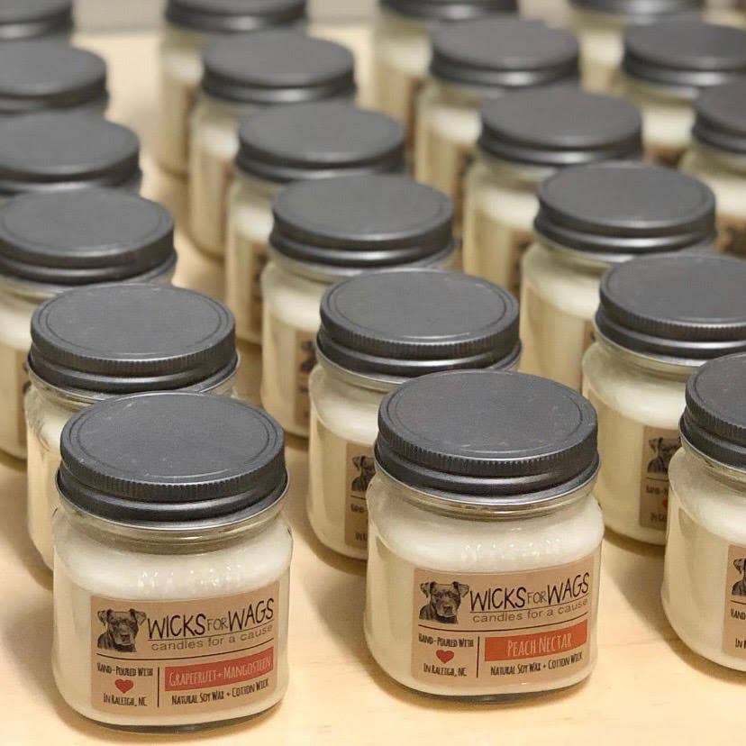 Wicks for Wags – wholesale Jar/filled candle – Sweet Cream + Cardamom | Mason Jar Soy Candle 5