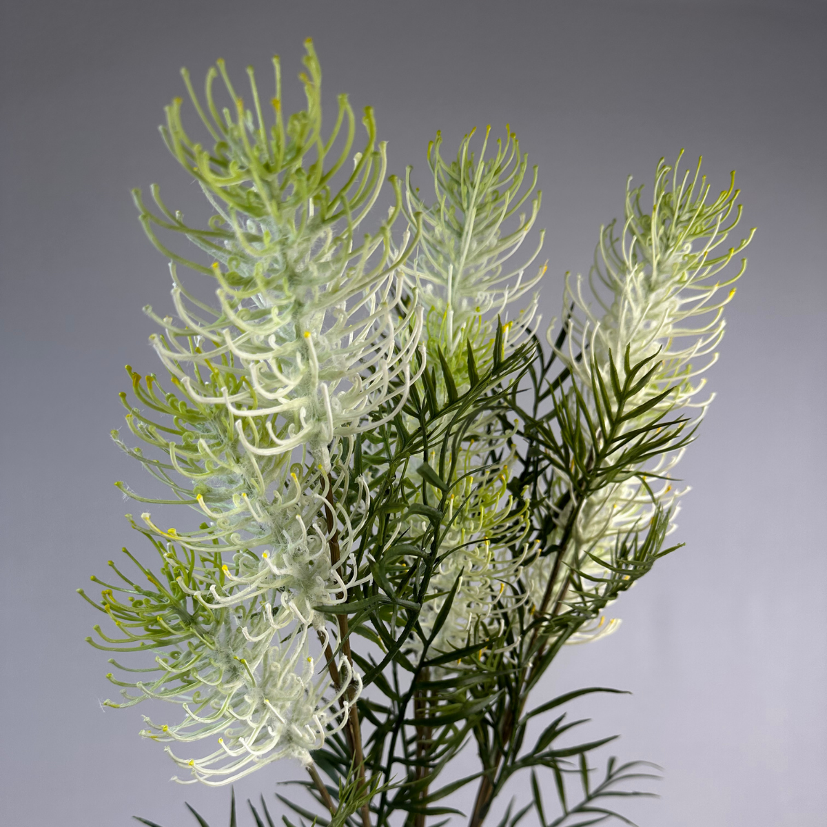 Realistic Artificial Flowers - Wholesale Artificial Flowers - Grevillea Flower Spray White - Realistic Artificial Flowers5