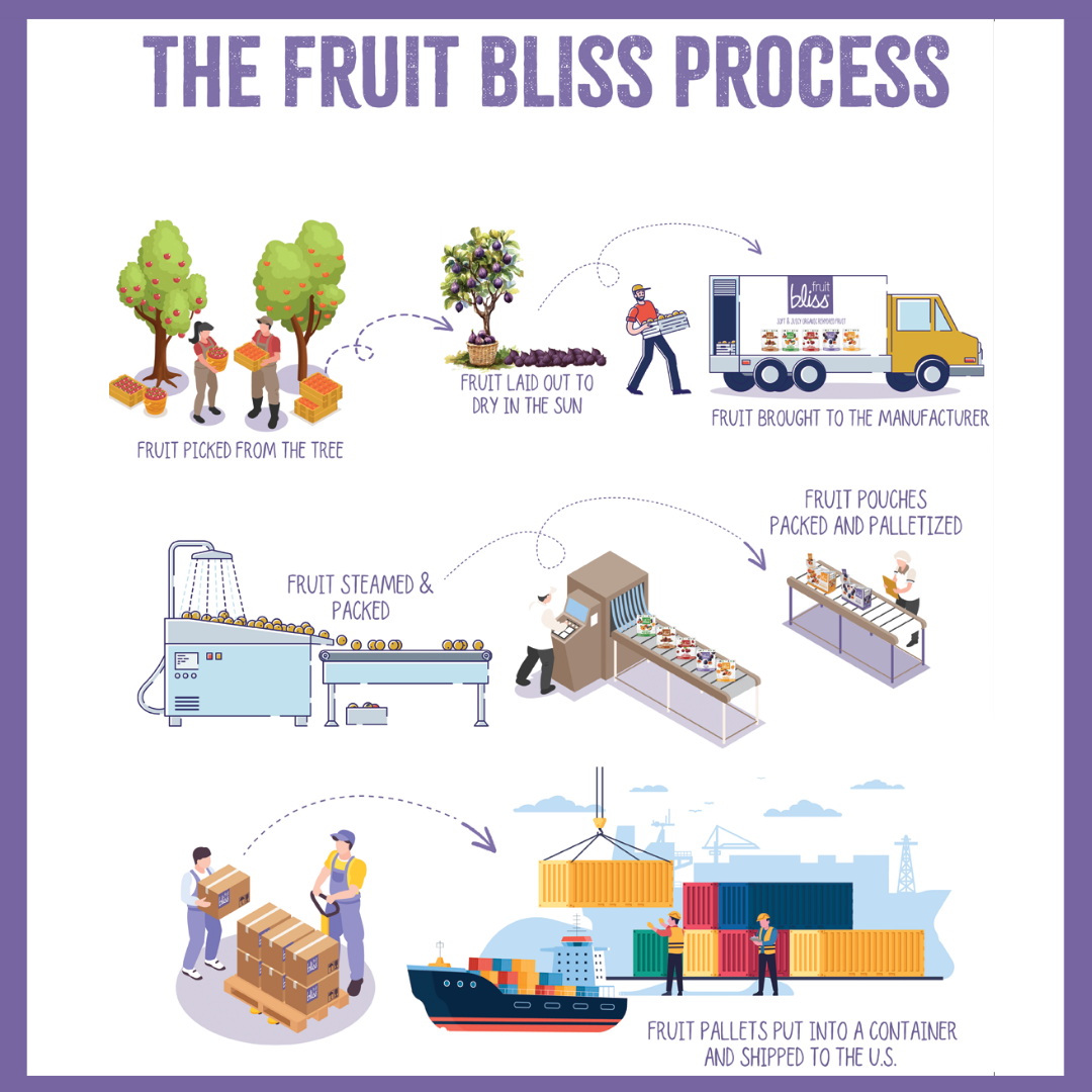 Fruit Bliss - Vente Fruits secs/déshydratés - Abricots turcs doux et juteux bio3