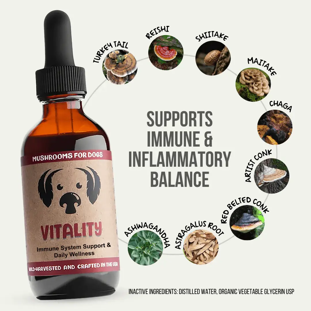 MycoDog - Wholesale Pet Supplement - Dog - Vitality – Mushroom Tincture for Dogs | Immune Support1