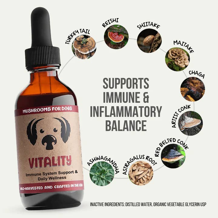 MycoDog - Wholesale Pet Supplement - Dog - Vitality – Mushroom Tincture for Dogs | Immune Support1
