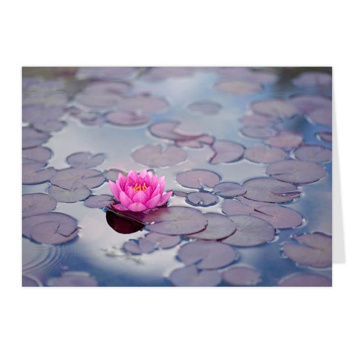 Vikbart kort "Näckros" för wholesale av paruspaper. nutzfeine papeterie