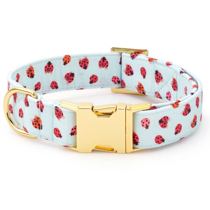 The Foggy Dog - Wholesale Pet Collar - Dog - Love Bug Spring Dog Collar