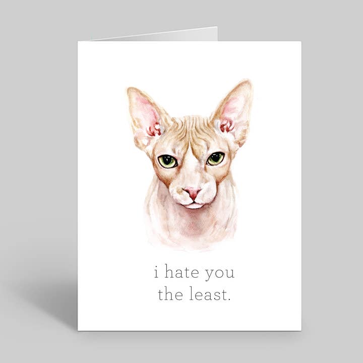 I hate you the least for wholesale by Count Your Smiles