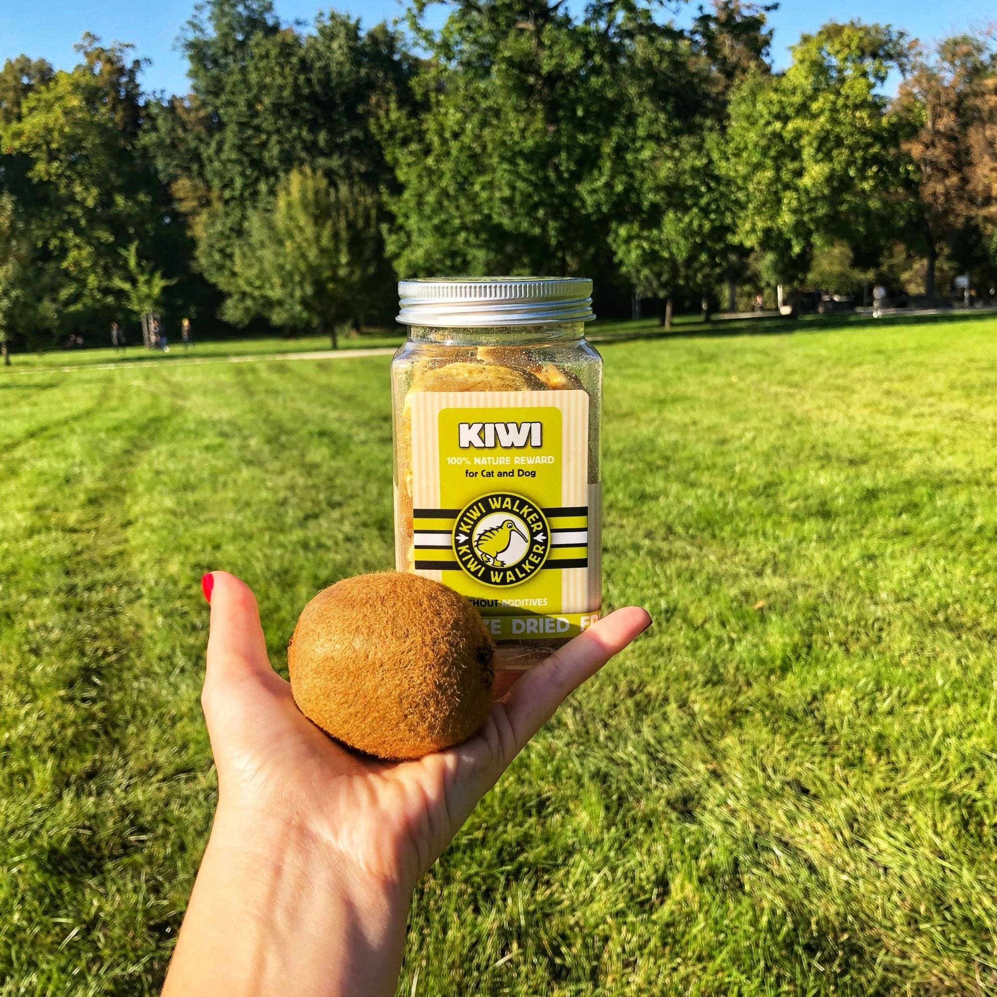 IGSM LTD - Wholesale Pet Treats - Dog - KIWI Walker DOG Treats - Freeze Dried Fruit4