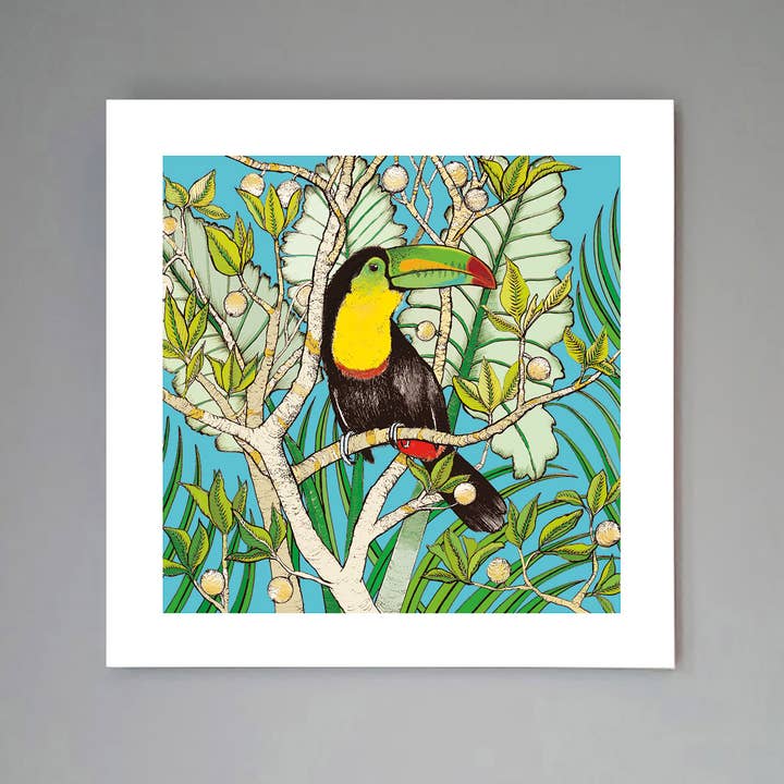 Stampa artistica «Toucan» per la vendita all'ingrosso da parte di Fay's Studio