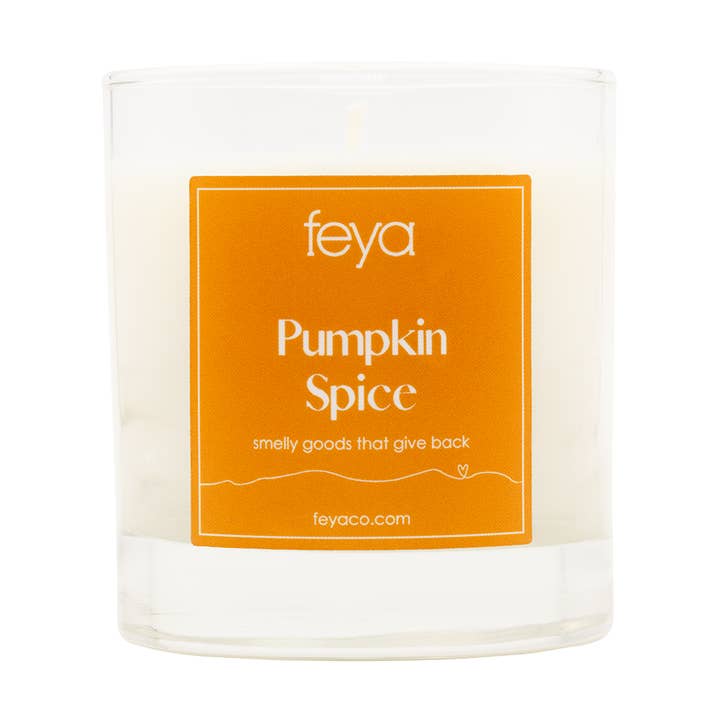 Feya Co. - Vendita all'ingrosso Candela in vasetto - Candela Spice Pumpkin, 6,5 oz0