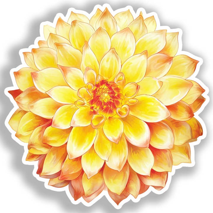 Dahlia Flower Decal Sticker # A019681 for wholesale by Yoonek Graphics