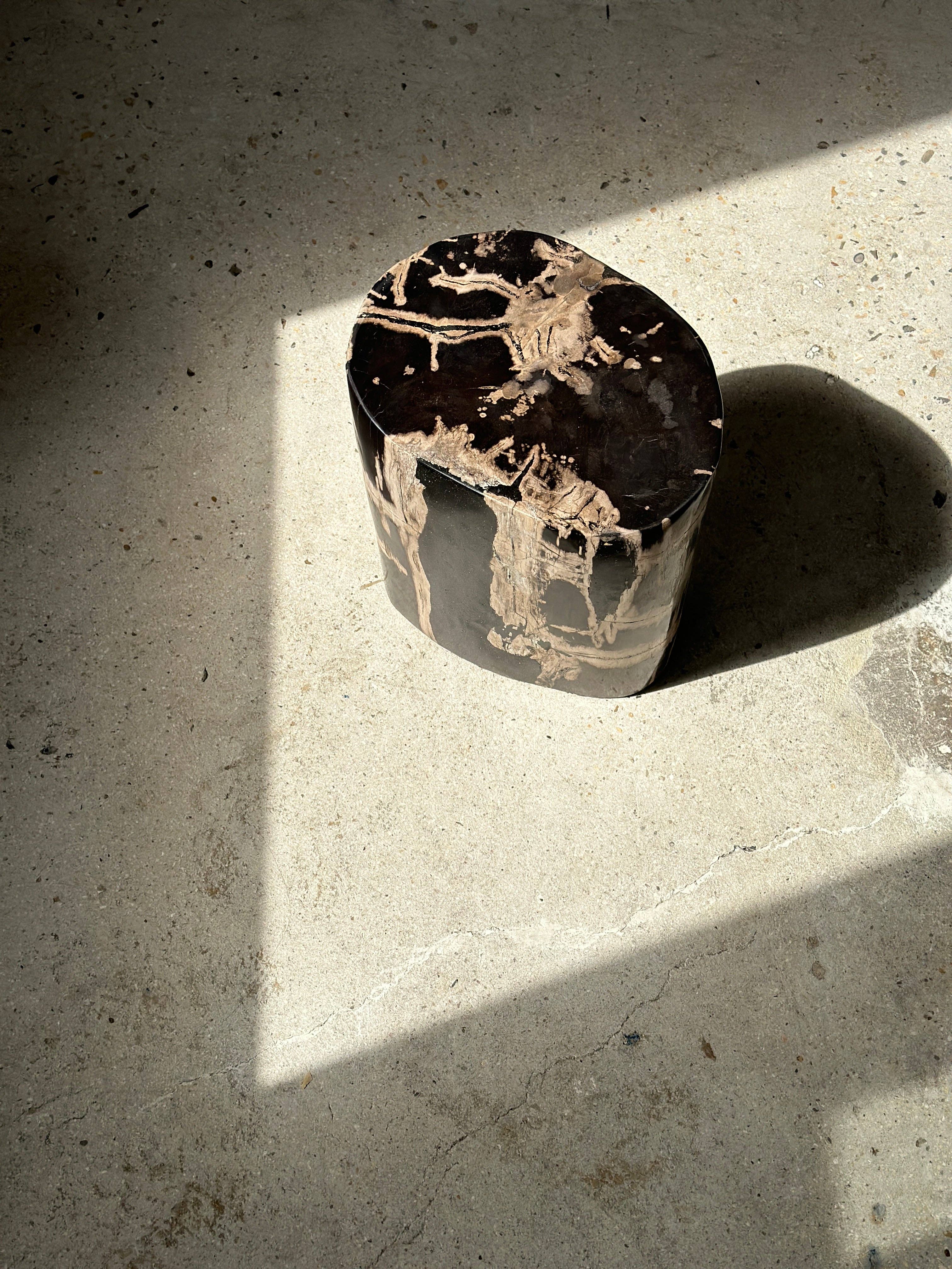 Office Objets - Vente Tables d'appoint - Table d'appoint en bois pétrifié13