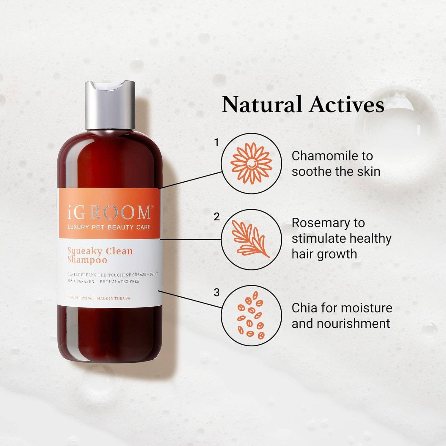 iGroom - Wholesale Pet Shampoo - Dog - Squeaky Clean Shampoo 16oz1